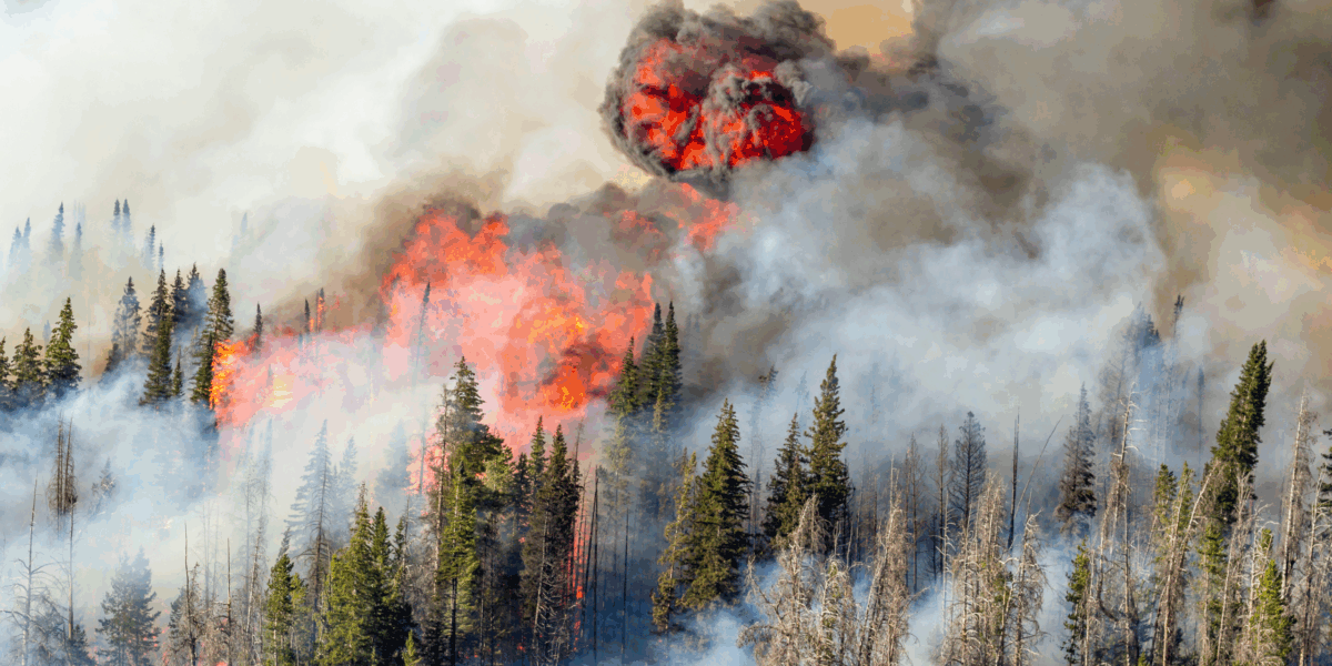 A 2016 wildfire in Wyoming
