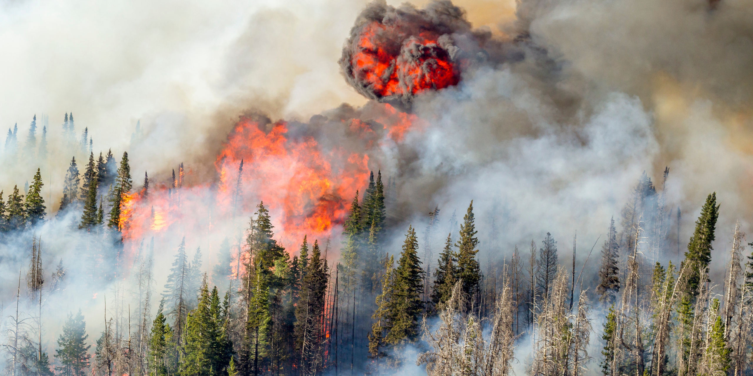 A 2016 wildfire in Wyoming