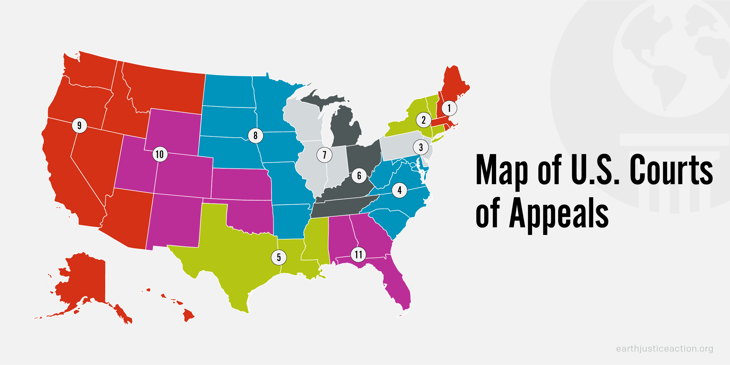 A map of the U.S. Courts of Appeals