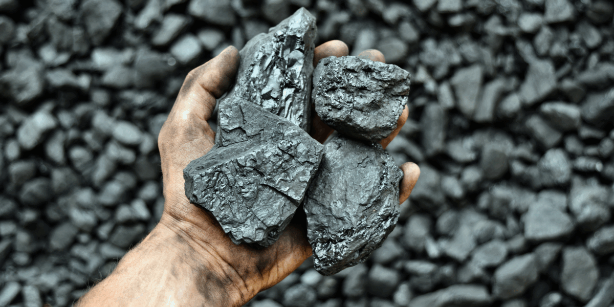 A hand holding coal.