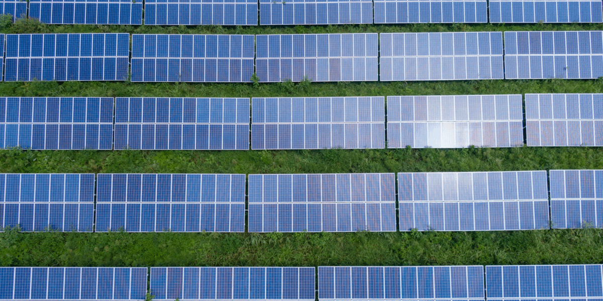 Several rows of solar panels.