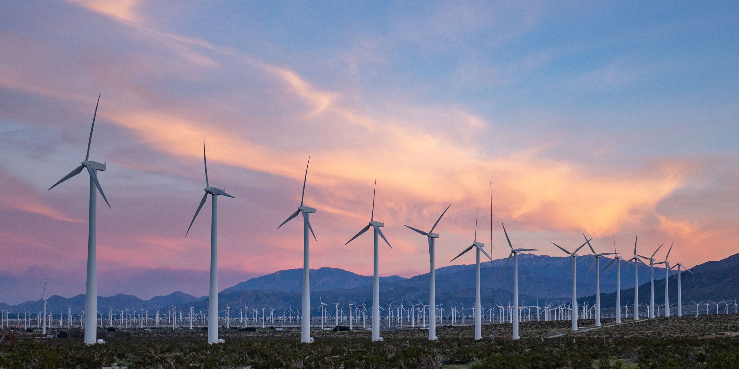 A wind farm at sunset.