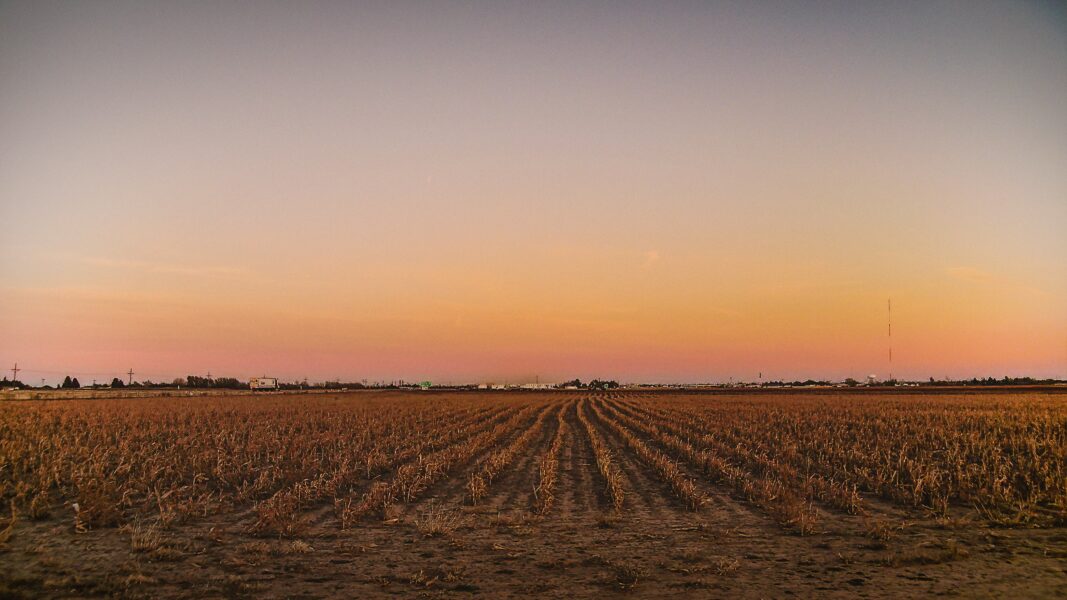 Sun sets over an agriculture field