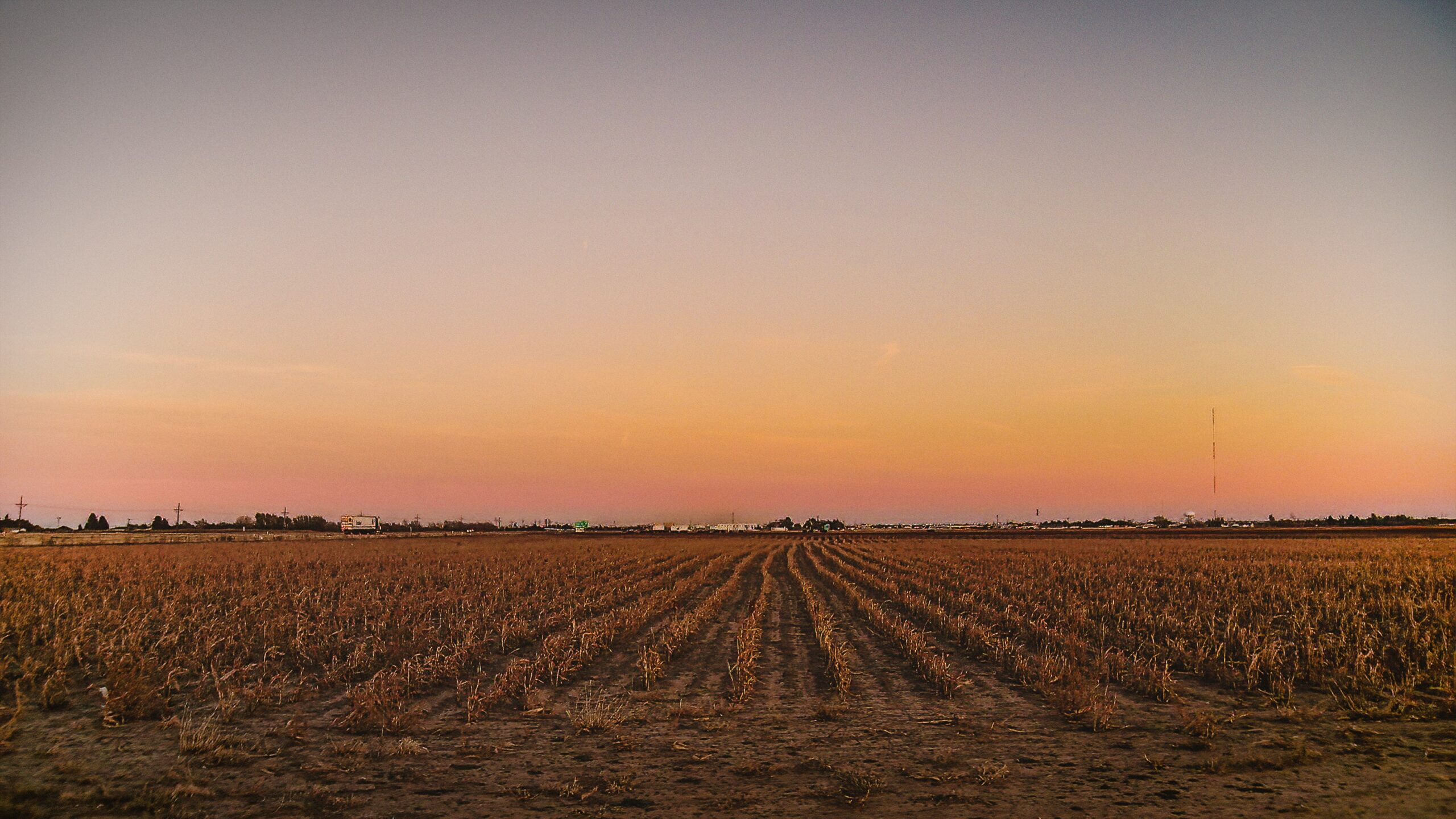 Sun sets over an agriculture field